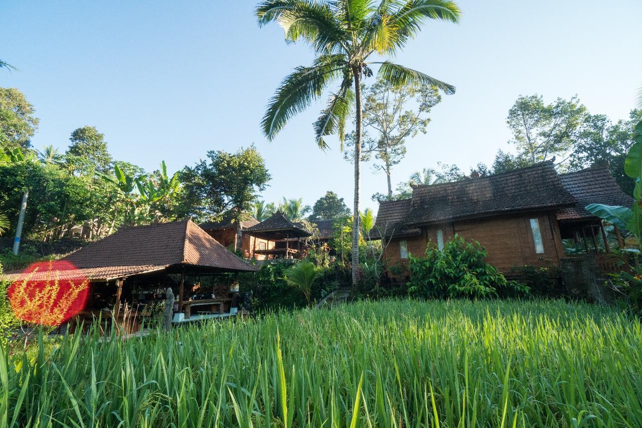 Song Broek Bali Hotel Payangan Exterior photo